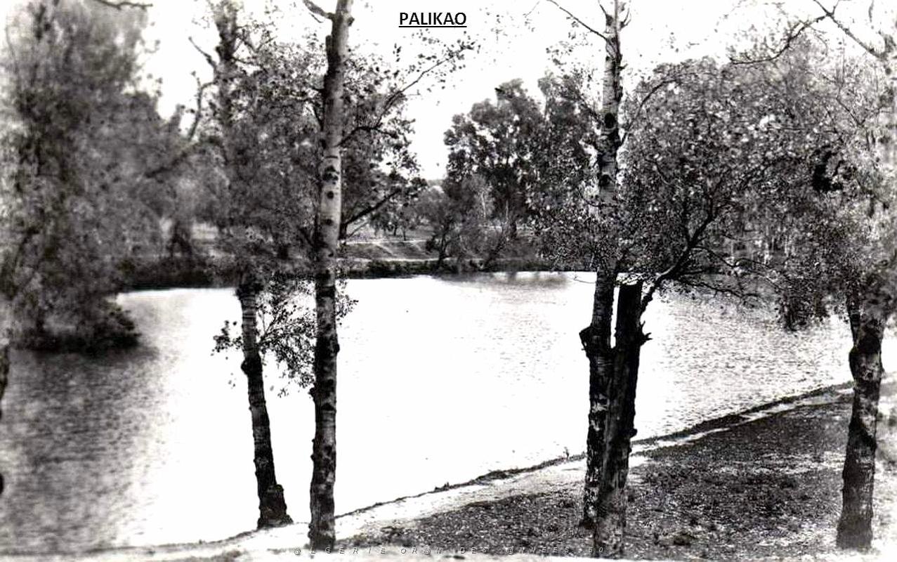 Palikao 618.jpg